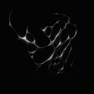 Clyde - The Stranger