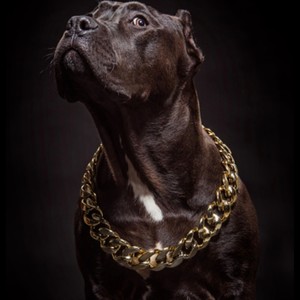 Off The Leash (feat. DollfaceChinaaa) (Explicit)