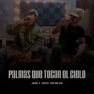 Palmas que tocan el cielo