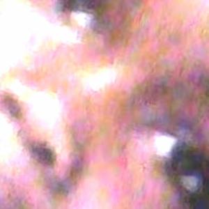 ADVERSITY AND AMBITION (Explicit)