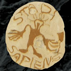 Stadi sapiens