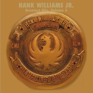 Hank Williams JR. - Born To Boogie