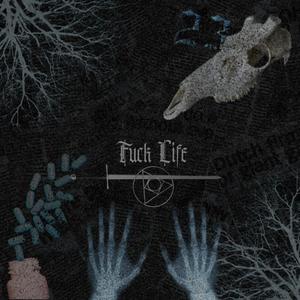 **** LIFE (feat. Bearded Legend & last nite) (Explicit)