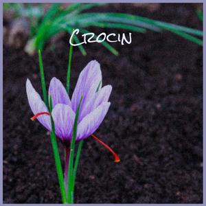 Crocin