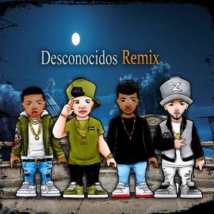 Desconocidos (Remix)