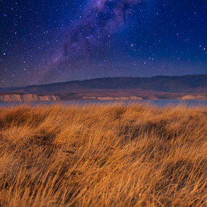 无羁 (改编版原唱: 肖战|葫芦丝版)