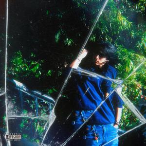 serotonin (Explicit)