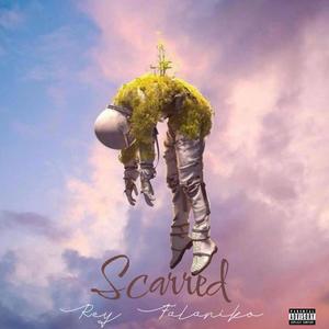 Scarred (Explicit)