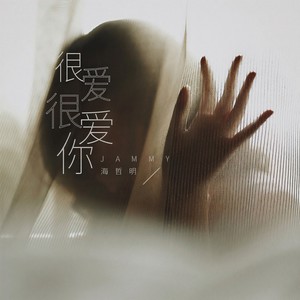 很爱很爱你-海哲明