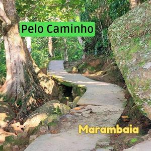 Pelo Caminho