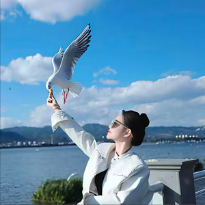 爱情让人伤不起