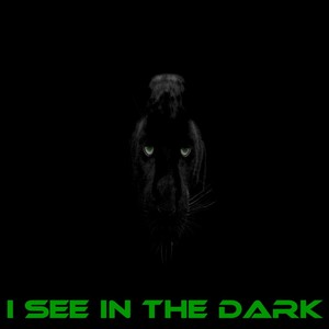 I See in the Dark