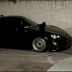 fake btchs (Explicit)