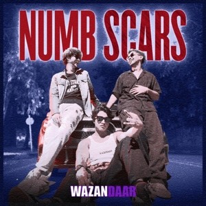 Numb Scars