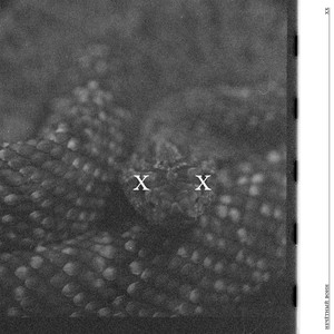 Медленная звезда