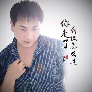 你走了我该怎么过