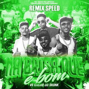 Na Brisa Que é Bom VS Cheiro do Skunk (Speed) (Explicit)