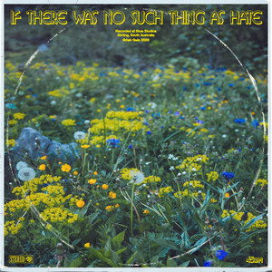 If There Was No Such Thing as Hate