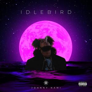 IDLEBIRD (Explicit)