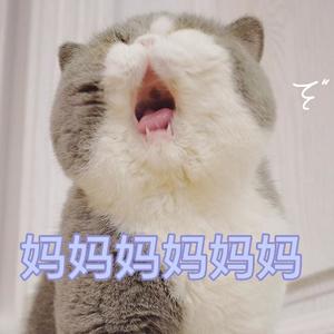 萱草花 (片段版)