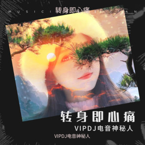 转身即心疼 (伴奏)