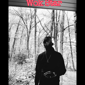 Wok Star (Explicit)