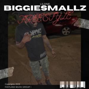 FreeStyle (feat. Versa Beatz) (Explicit)