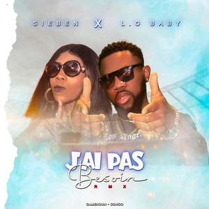 jai pas besoin (feat. L.O Baby) (Remix)