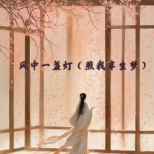 风中一盏灯（照我半生梦）