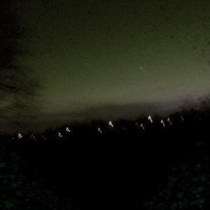 all i done (feat. Paulie Leparik)