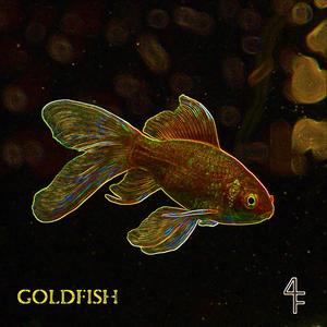 gOLDFISH