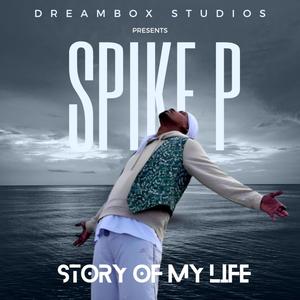 Story of my life (feat. Spike P)