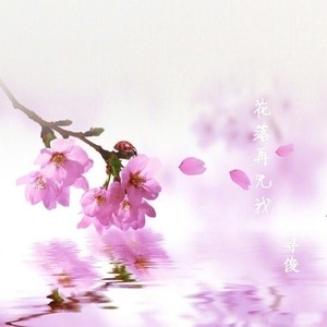 花落再无我