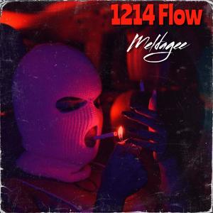 1214 Flow (Explicit)