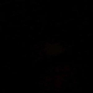 Not It (feat. fckqstnmrk) (Explicit)