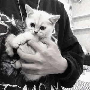 Haru Haru (DJ覃晨皓版)