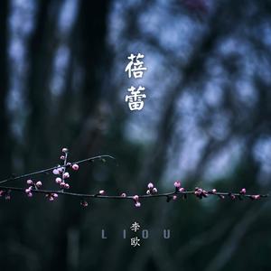蓓蕾