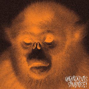 WHAT U WANNA B! (feat. Regore)