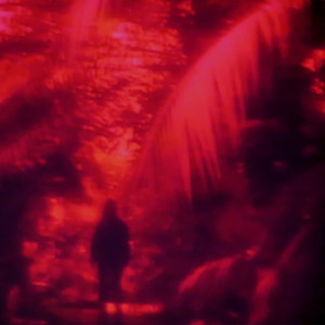 Sundance (feat. Beate Wiesinger, Astrid Wiesinger, Alois Eberl, Clemens Sainitzer, Florian Sighartner, Philipp Jagschitz, Michal Wierzgon & Lisa Hofmaninger)