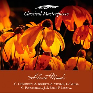Conterto for Oboe and String Orchestra in C Major, Introduzione - Larghetto