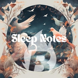 Sleep Notes