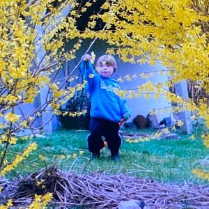 flowers (feat. carlos.)