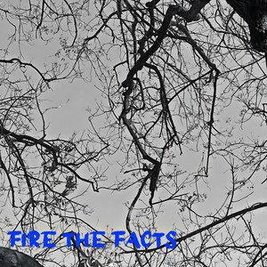 Fire The Facts