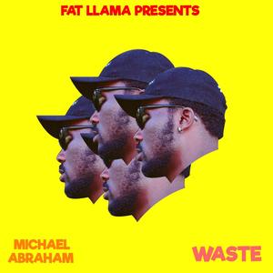 Waste (feat. Michael Abraham) [Explicit]