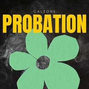 PROBATION (Explicit)
