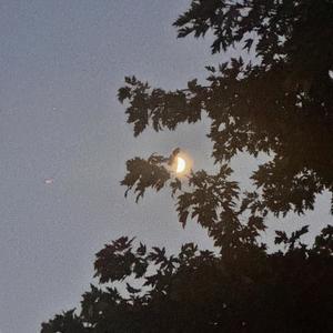 The boy who never lets go