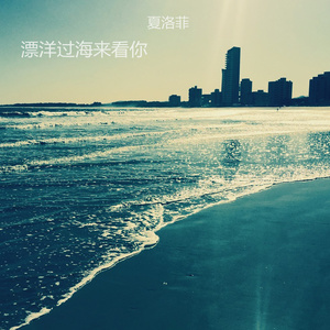 漂洋过海来看你