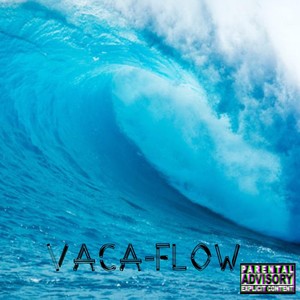 VACA-FLOW (Explicit)