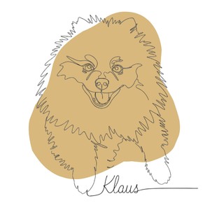 Klaus