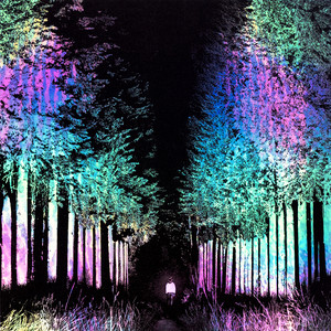 Brave This World (feat. Mikaila Delgado)